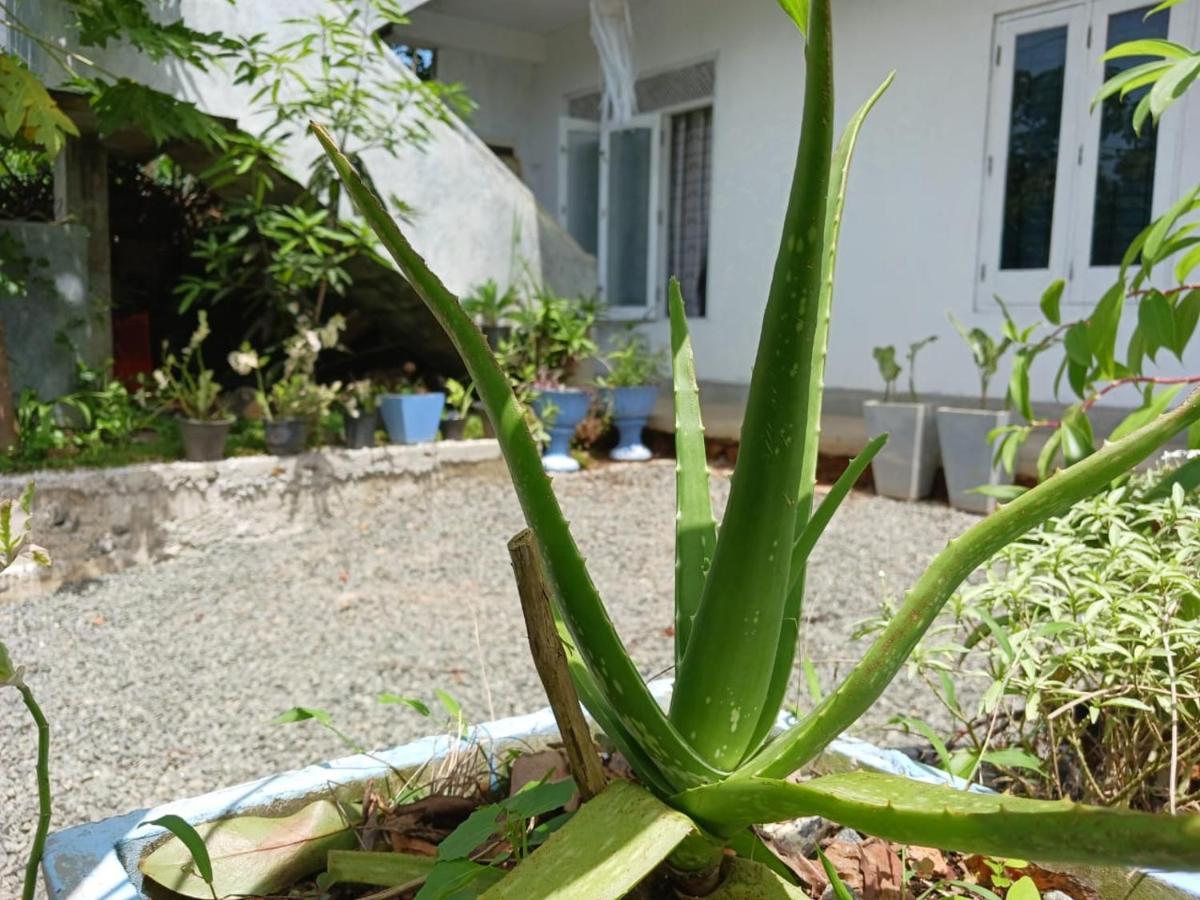 Villa Diamond Nest ウナワトゥナ エクステリア 写真